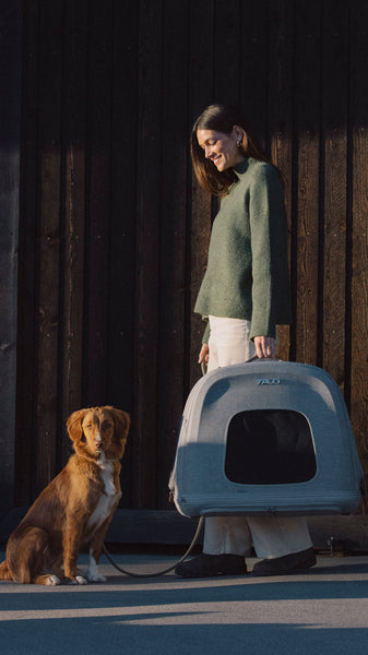 TAVO - Crispin Crash-Tested Pet Travel Crate