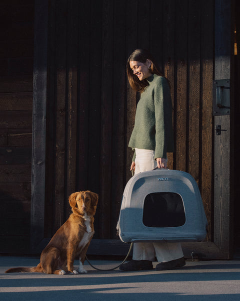 TAVO - Crispin Crash-Tested Pet Travel Crate