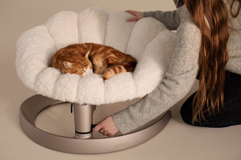 TAVO - Shell Pet Bed And Swaying Lounger in Latte