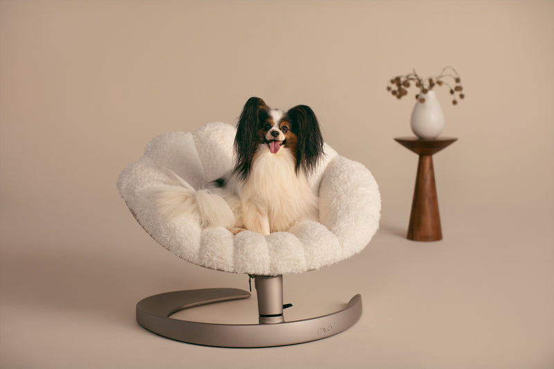 TAVO - Shell Pet Bed And Swaying Lounger in Latte