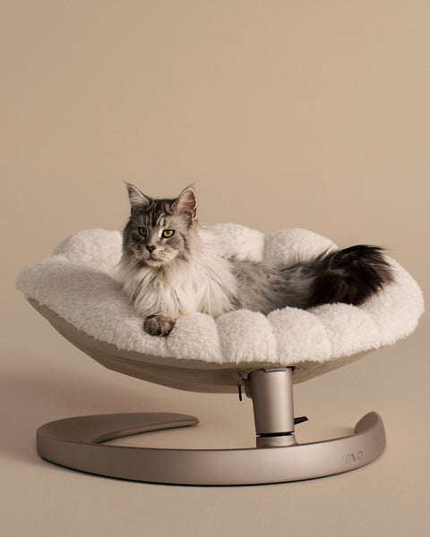 TAVO - Shell Pet Bed And Swaying Lounger in Latte