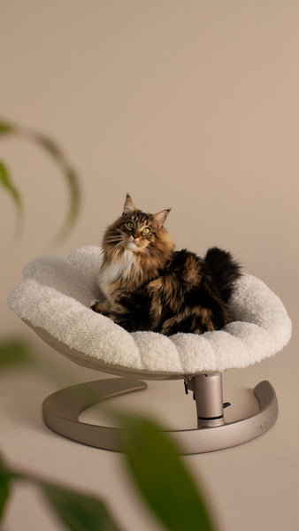 TAVO - Shell Pet Bed And Swaying Lounger in Latte