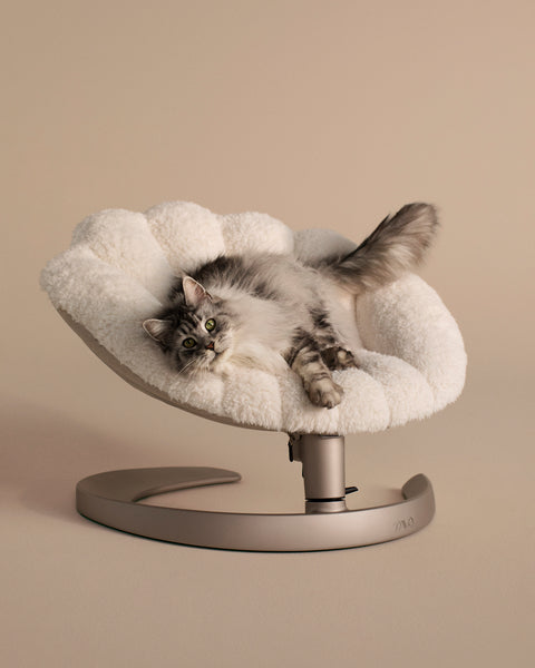 TAVO - Shell Pet Bed And Swaying Lounger in Latte