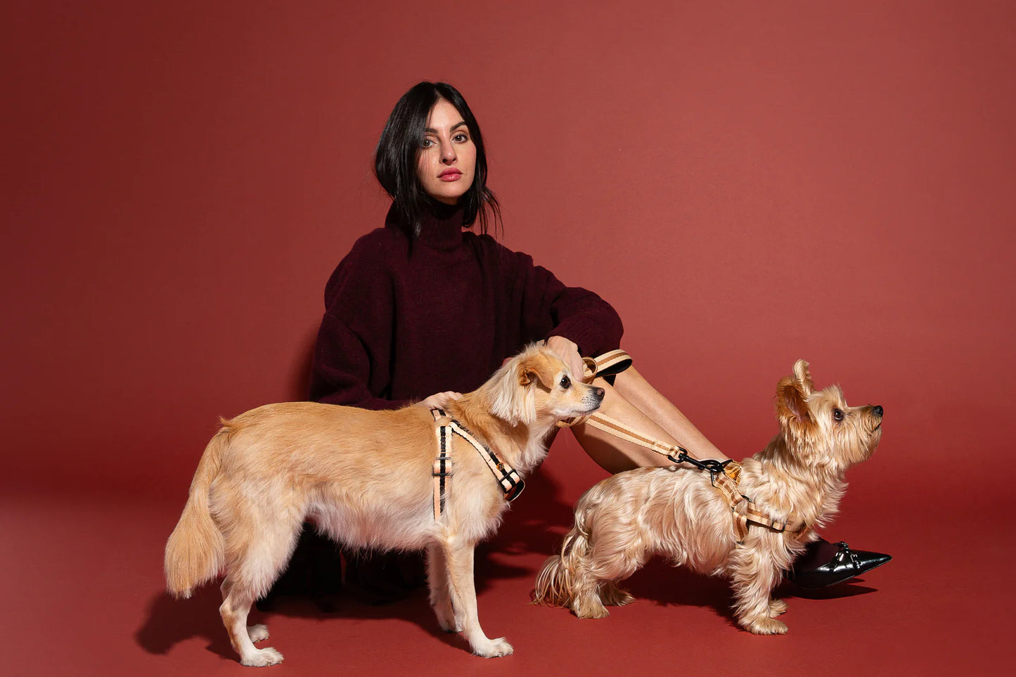 SAINT RUE - Rue de Rivoli Harness & Leash Set