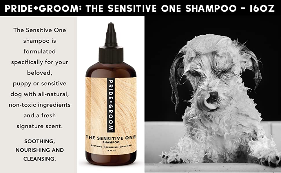 The Sensitive One Shampoo