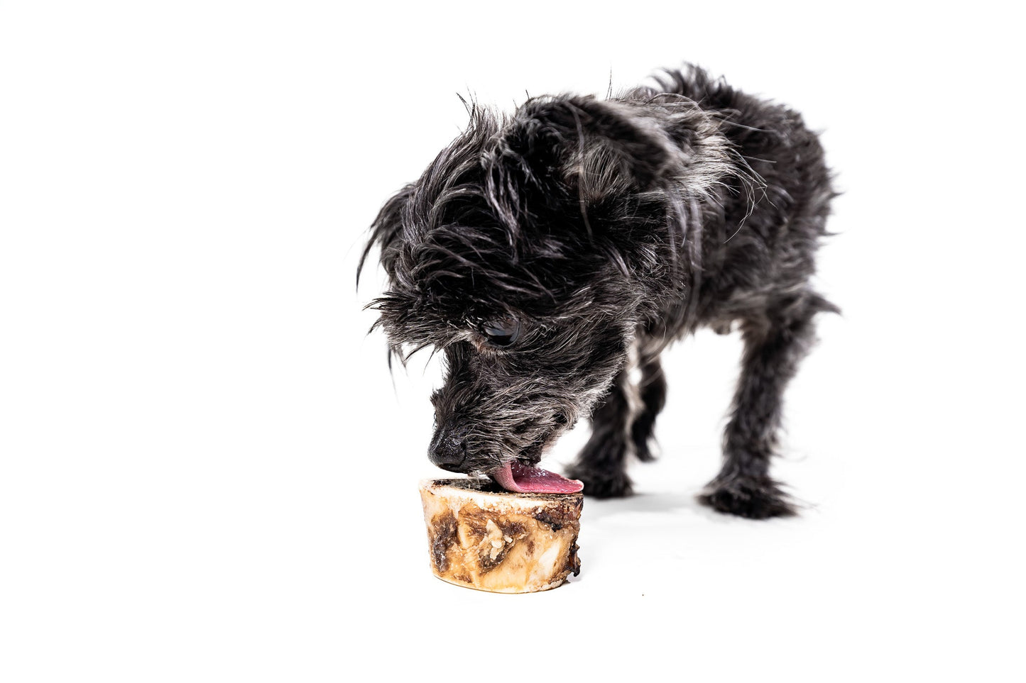 WINNIE LOU - Bison Marrow Bone (2")