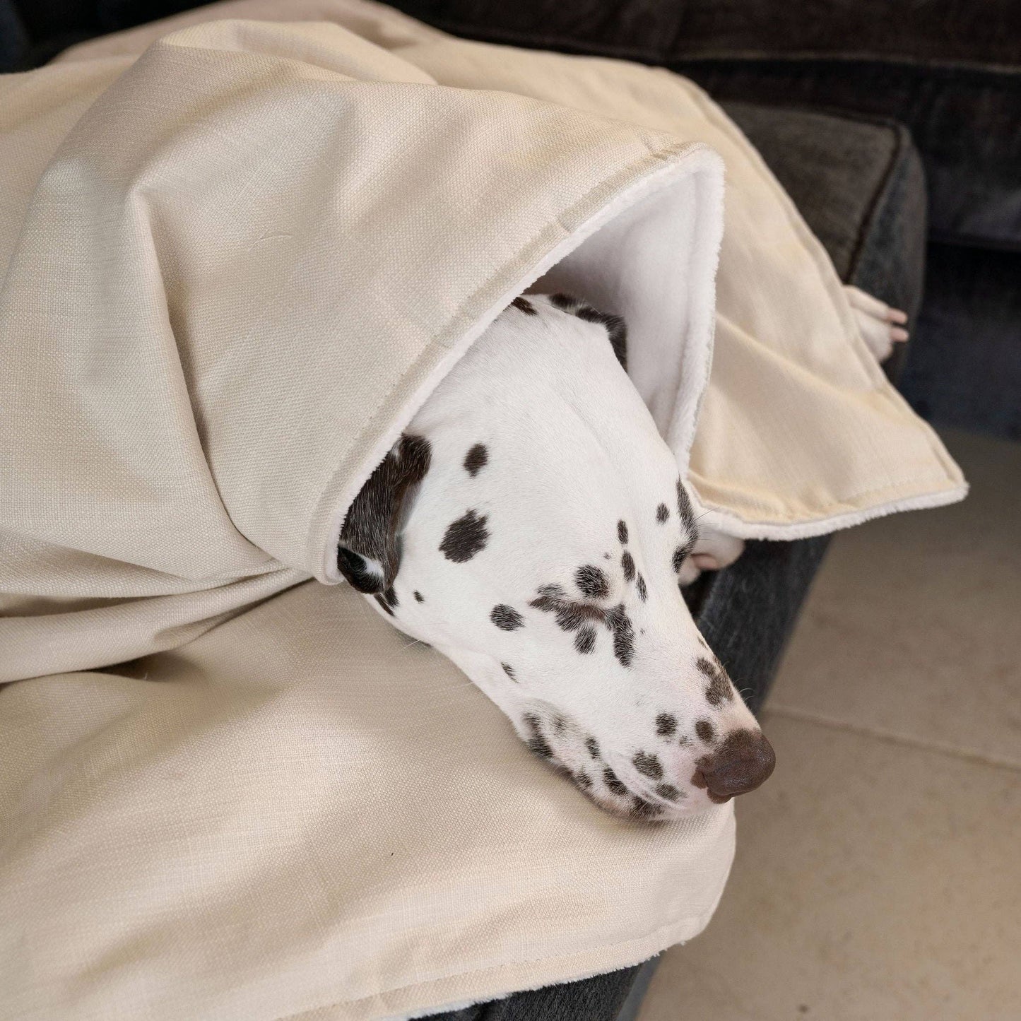 Dog & Puppy Blanket in Savanna Bone