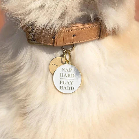 Pet ID Tag - Nap Hard Play Hard