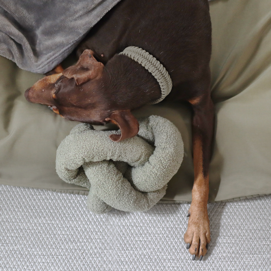 LAMBWOLF - O NOU | oversized ENRICHMENT DOG TOY