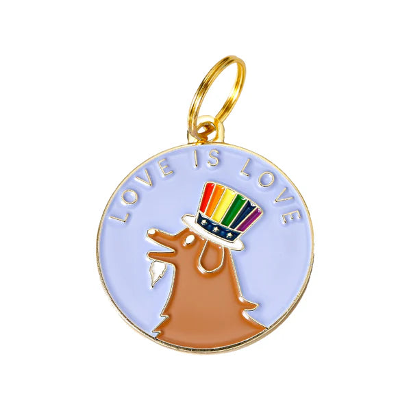 Pet ID Tag - Love Is Love