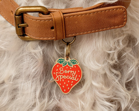 Pet ID Tag - Berry Special