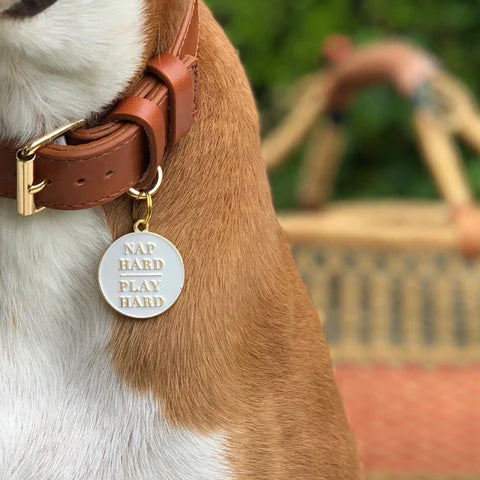 Pet ID Tag - Nap Hard Play Hard