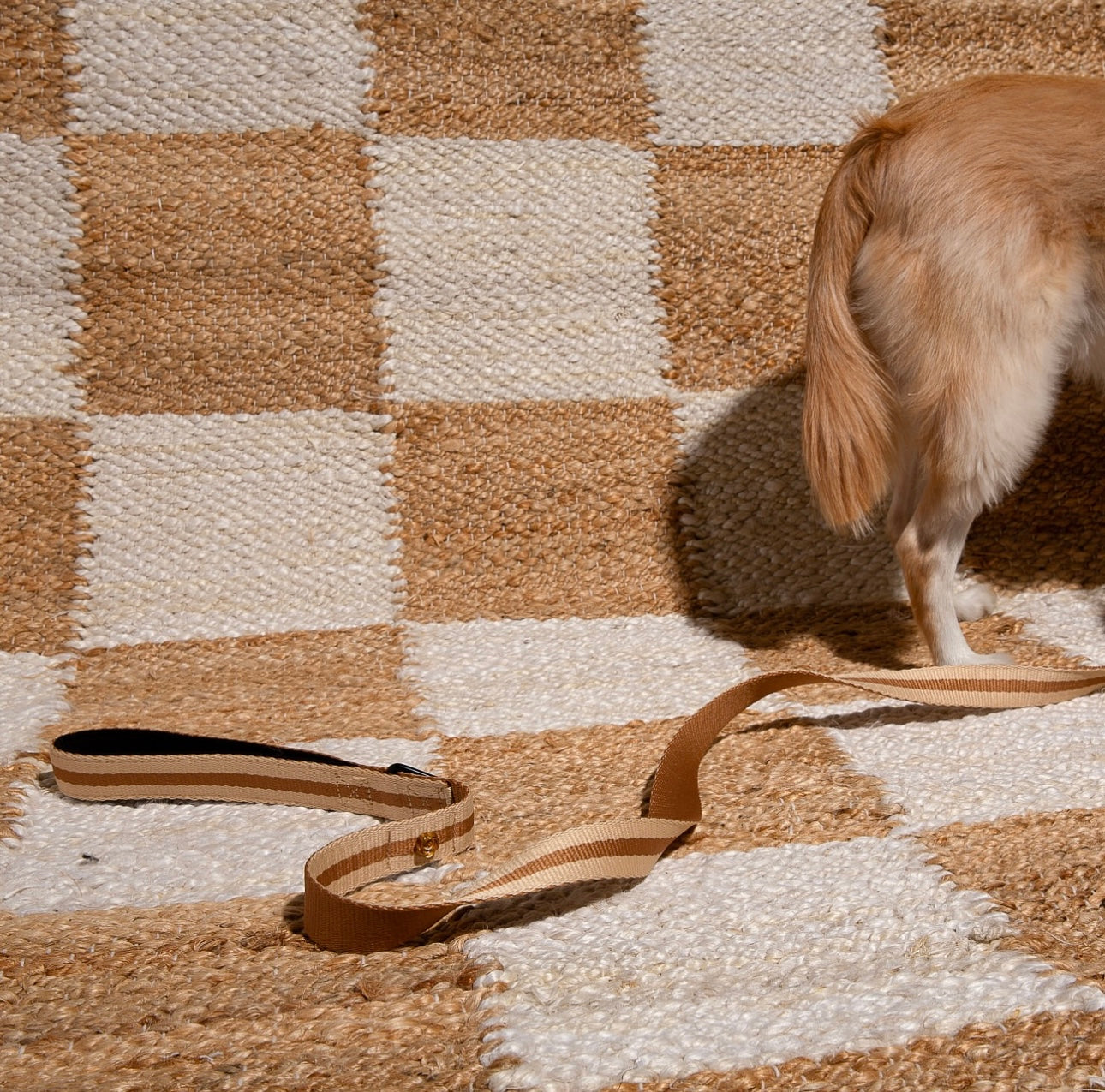 SAINT RUE - Rue de Rivoli Harness & Leash Set