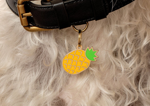 Pet ID Tag - Pineapple