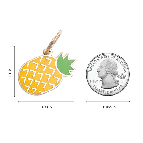 Pet ID Tag - Pineapple