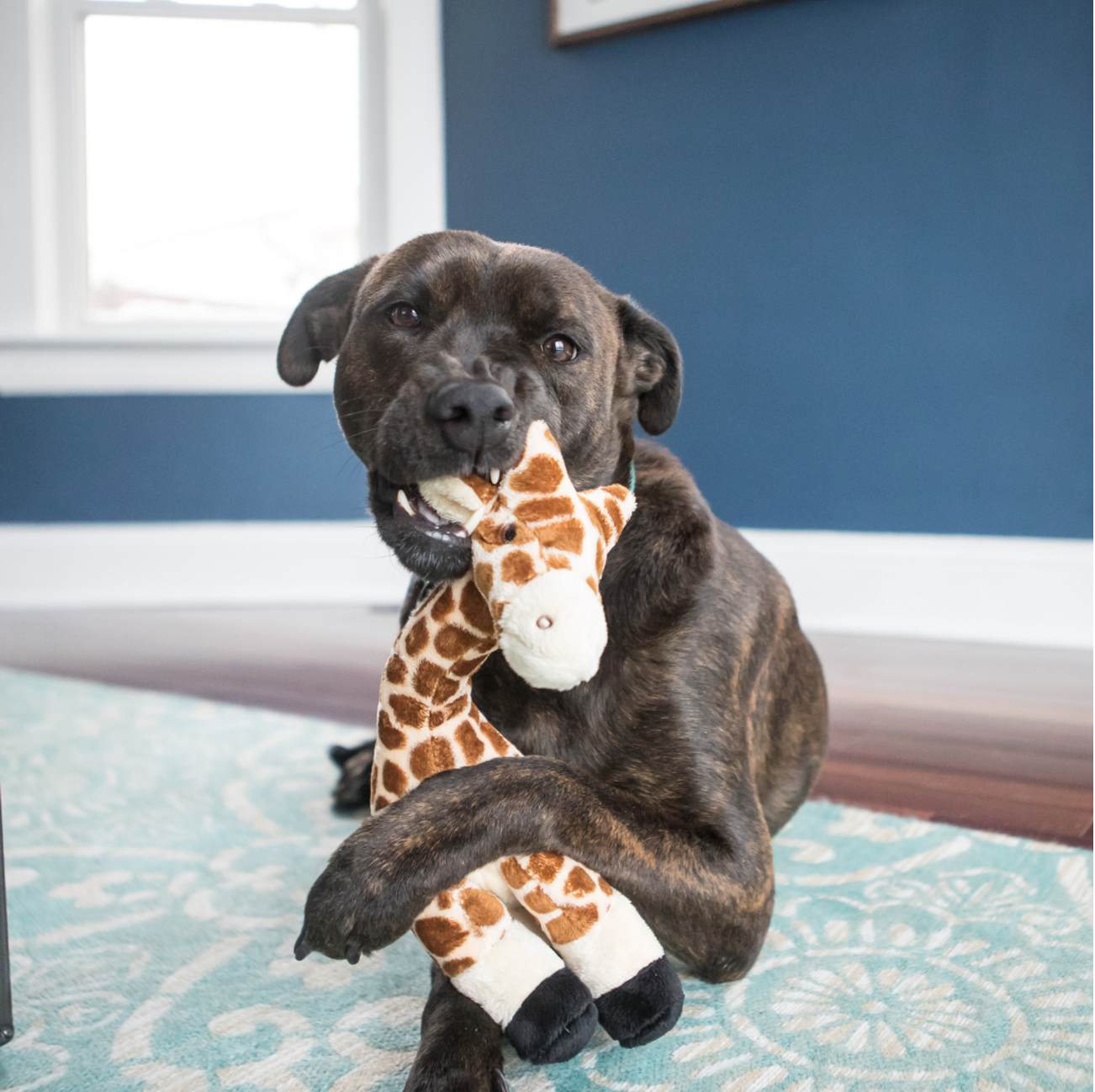 FLUFF & TUFF - Nelly the Giraffe