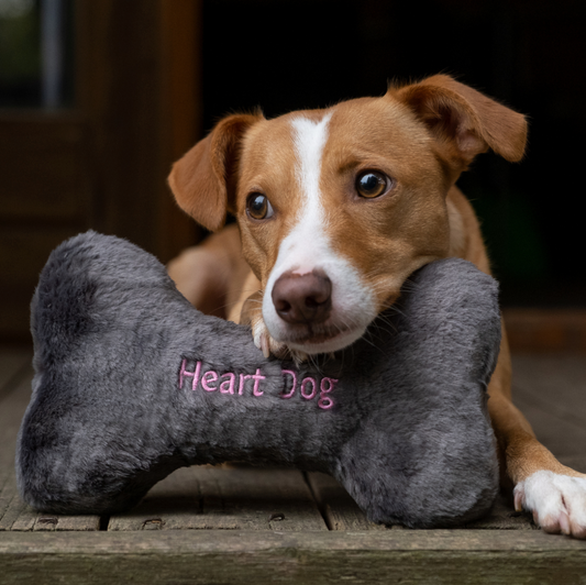 FLUFF & TUFF - Heart Dog Bone