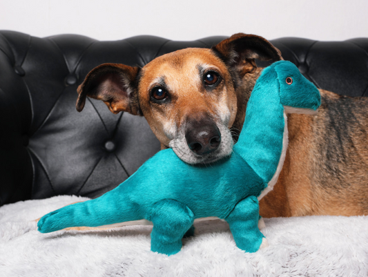 FLUFF & TUFF - Ross the Brachiosaurus