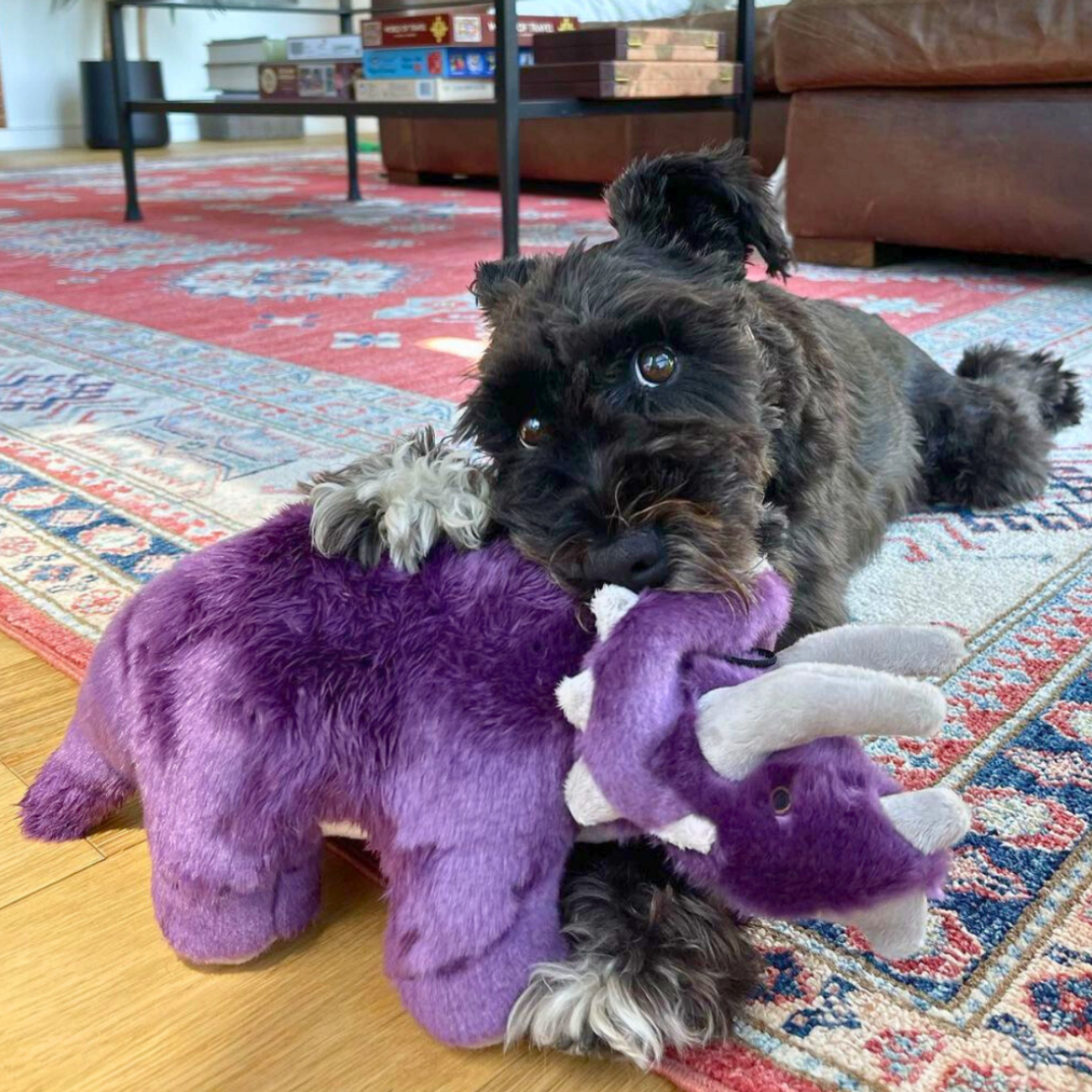 FLUFF & TUFF - Charlie the Triceratops
