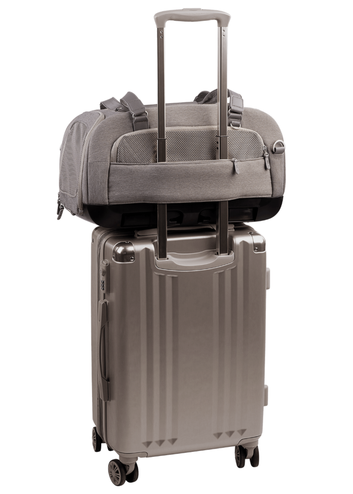 TAVO - Dupree + Roscoe Pet Travel System