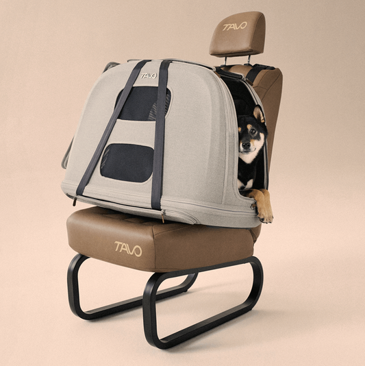 TAVO - Crispin Crash-Tested Pet Travel Crate