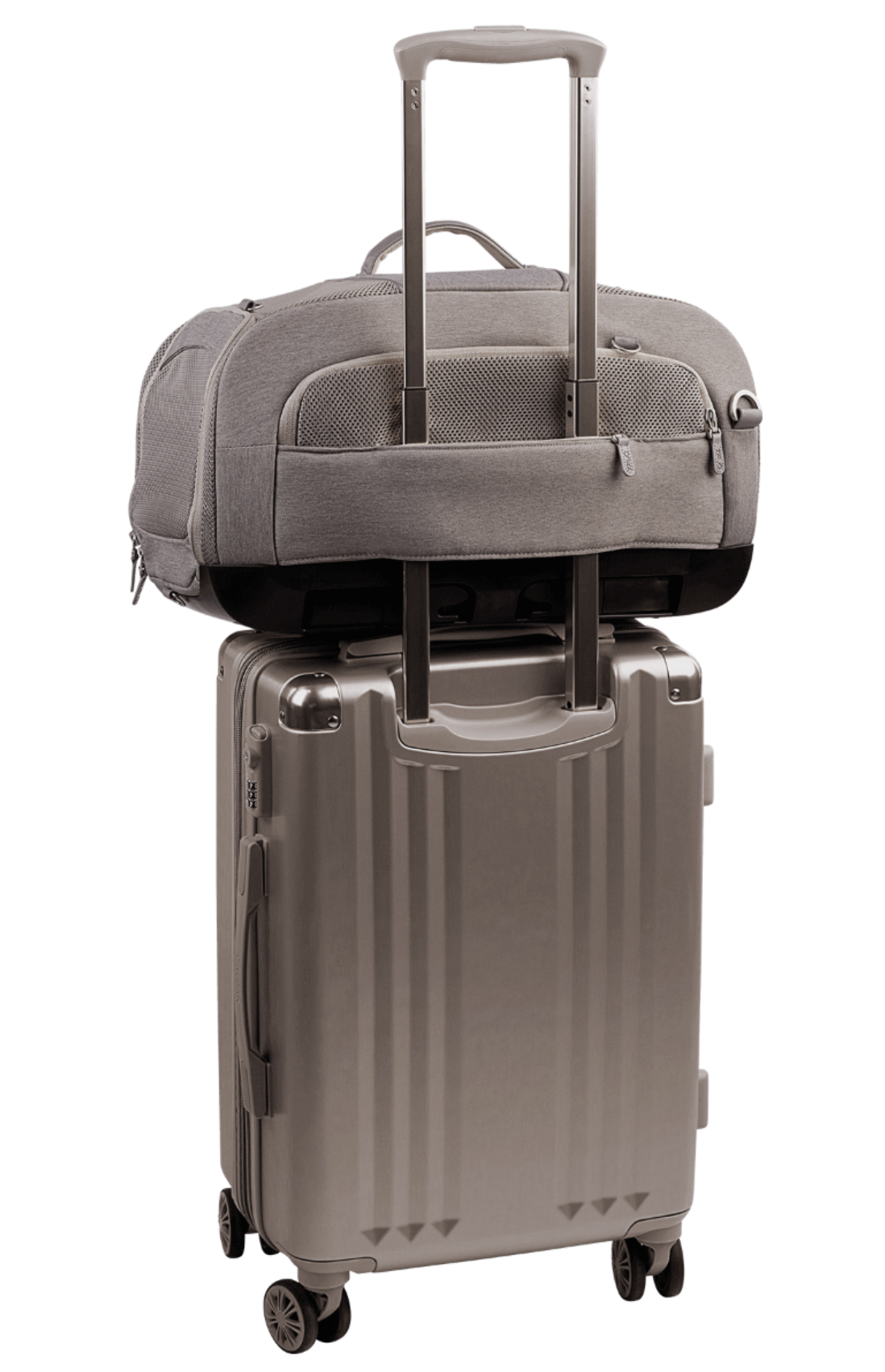 TAVO - Dupree + Roscoe Pet Travel System