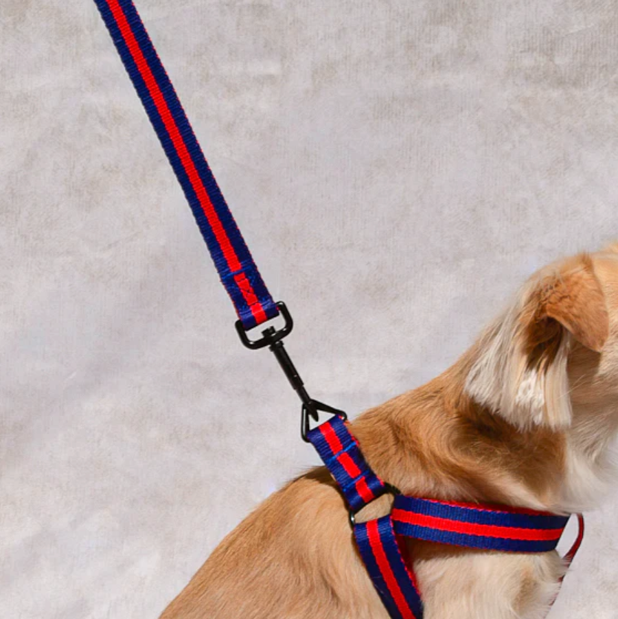 SAINT RUE - La Classic Dog Leash