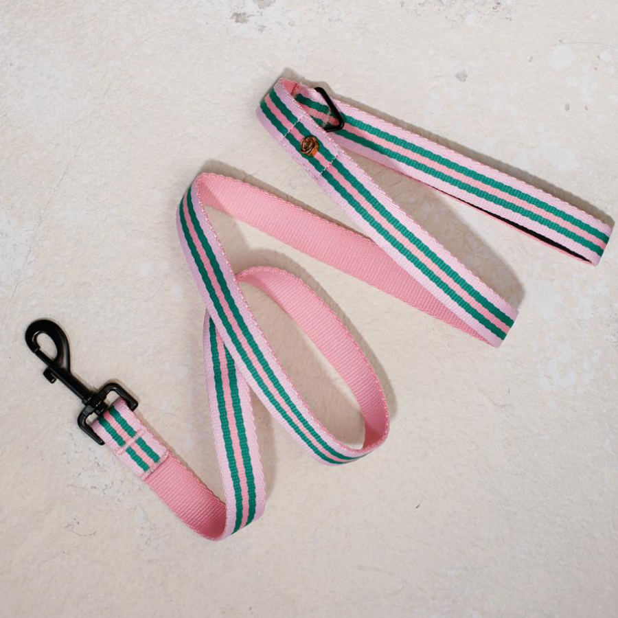 SAINT RUE - La Classic Dog Leash