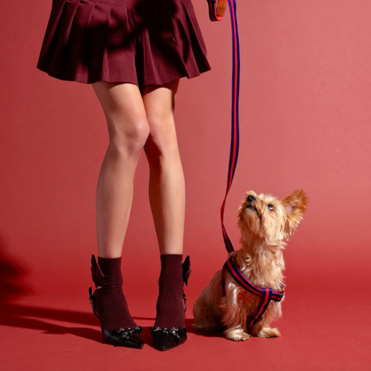 SAINT RUE - La Classic Dog Leash