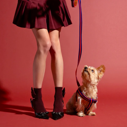 SAINT RUE - La Classic Dog Leash