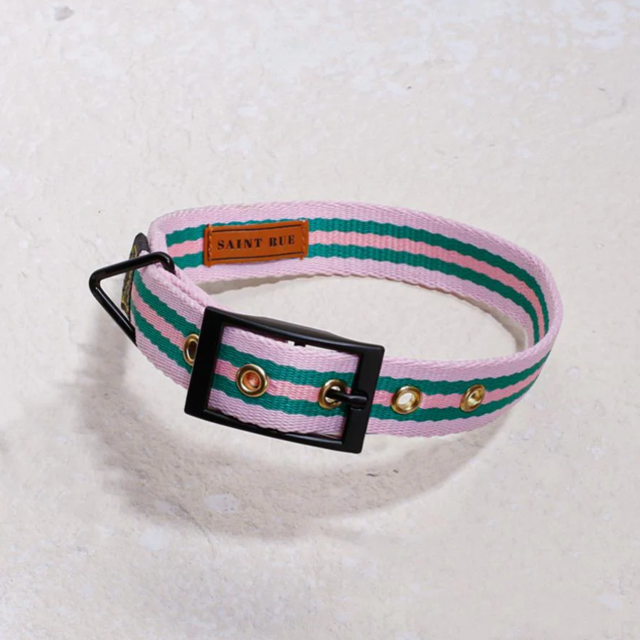 SAINT RUE - Le Classic Dog Collar