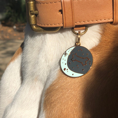 Pet ID Tag - Zodiac
