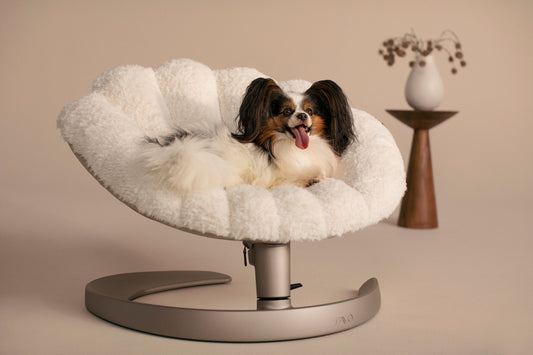 TAVO - Shell Pet Bed And Swaying Lounger in Latte